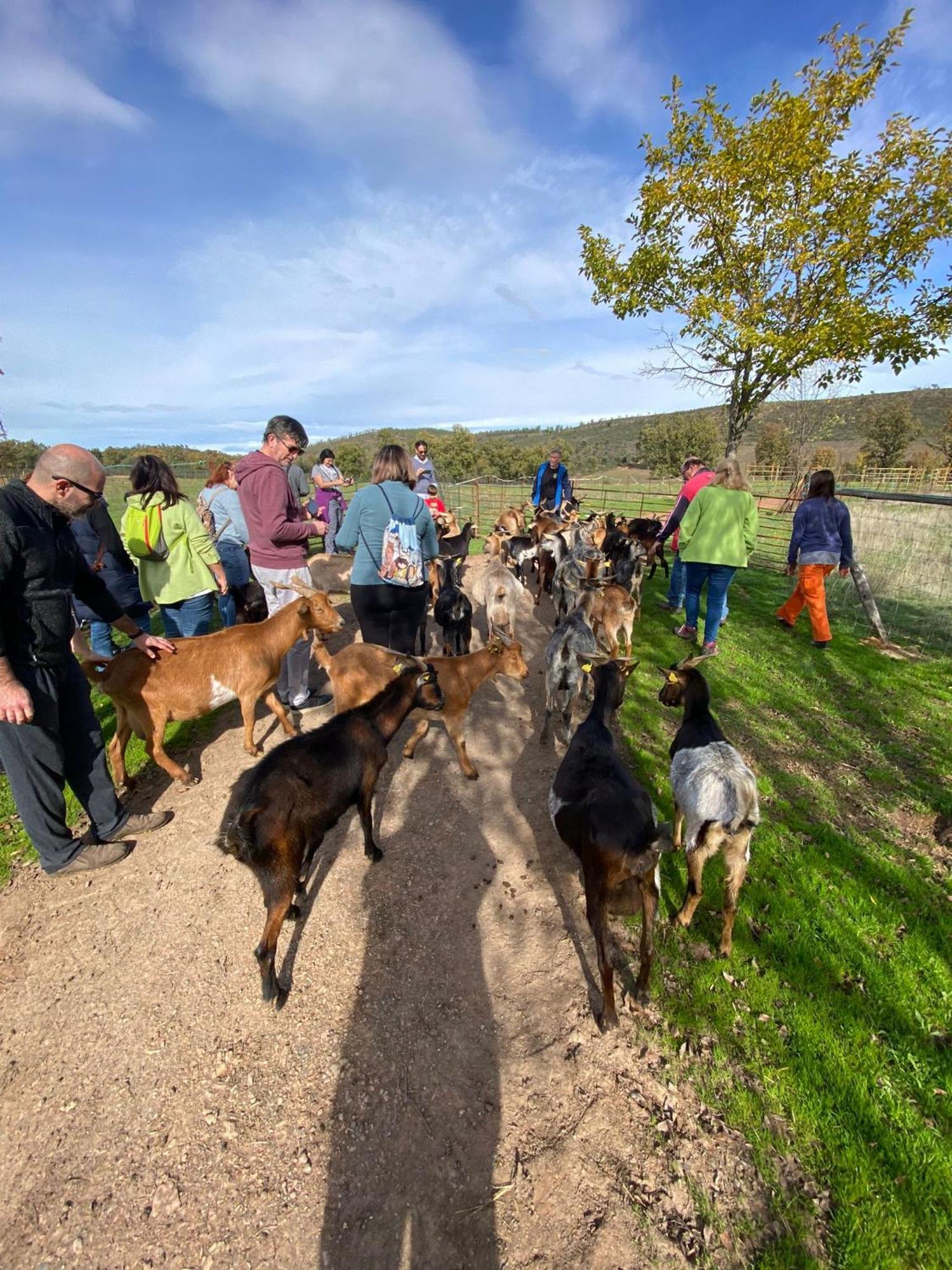 Las Lucias, Experiencias De Ecoturismo Navatrasierra Zewnętrze zdjęcie