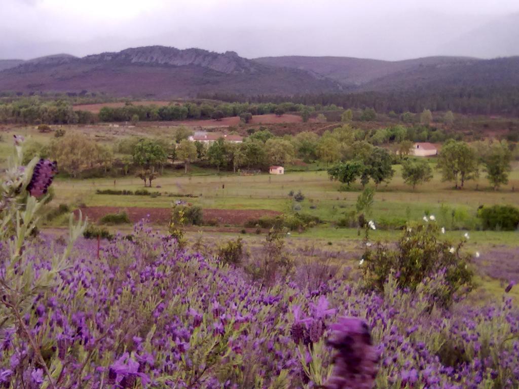 Las Lucias, Experiencias De Ecoturismo Navatrasierra Zewnętrze zdjęcie